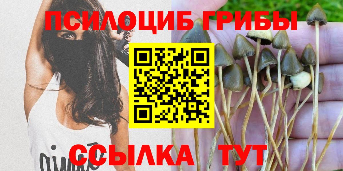 Мелеуз  даркнет сайт  Вход с VPN  Псилоцибиновые грибы Psilocybine cubensis 