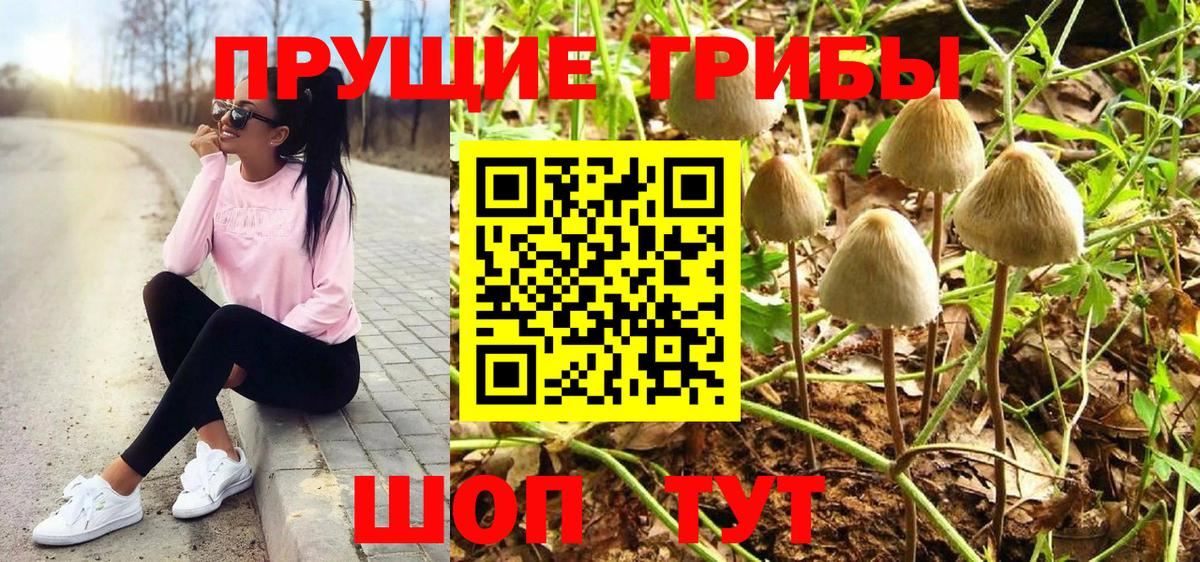 Галлюциногенные грибы мицелий Мелеуз
